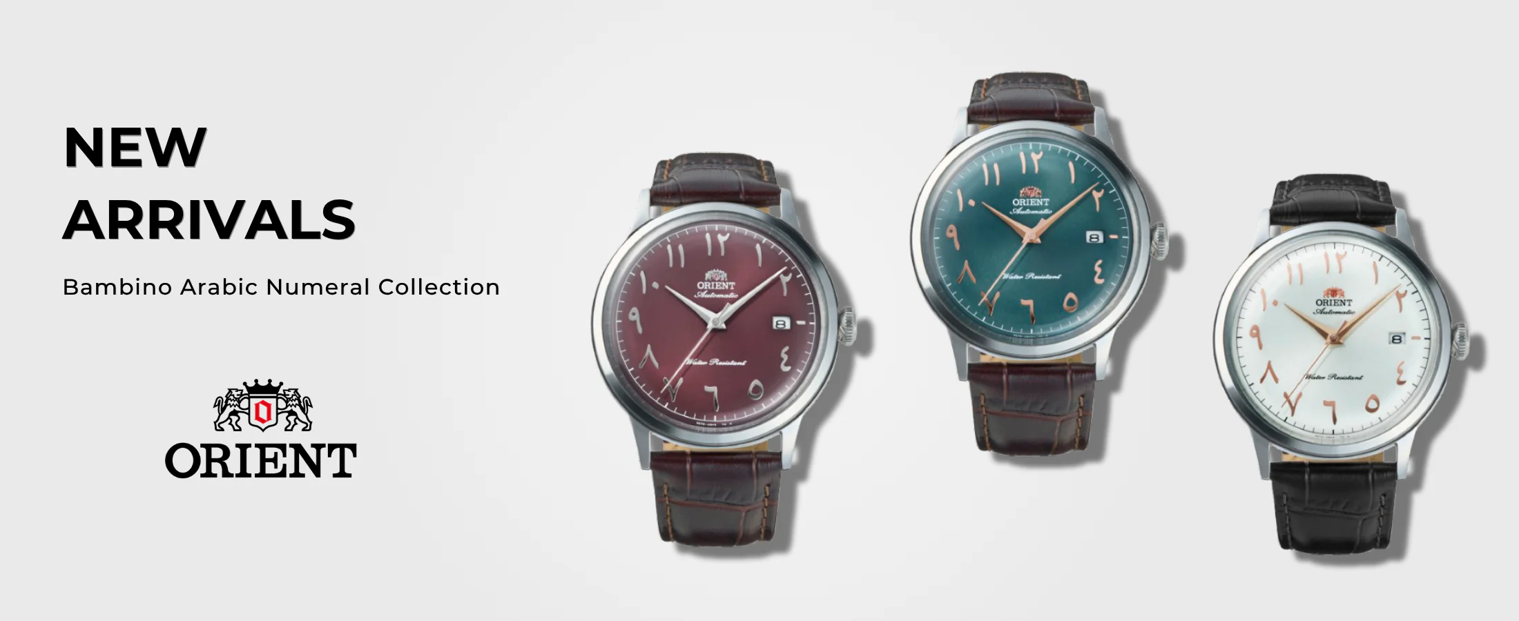 Timeless Precision on Your Wrist